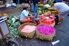 Bali08-5-09pic