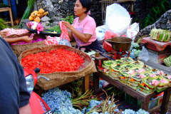Bali08-5-15pic