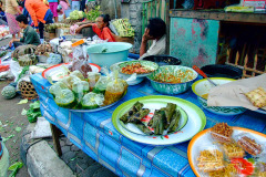 Bali08-5-17pic
