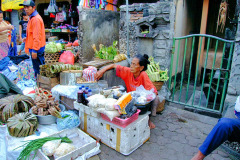 Bali08-5-19pic