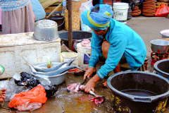 Bali08-5-21pic
