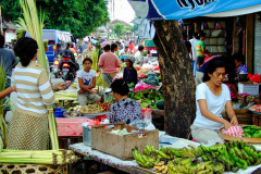 Bali08-5-25pic