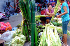 Bali08-5-29pic