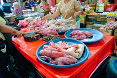 Bali08-5-33pic