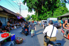 Bali08-5-47pic