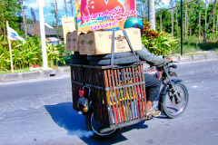 Bali08-4-pic13