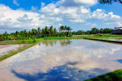 Bali08-4-pic25