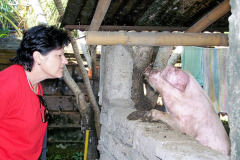 Bali08-3-pic03
