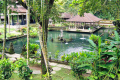 Bali08-3-pic13