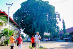 Bali08-3-pic35