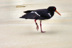 bild02
