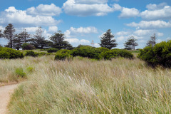 bild11