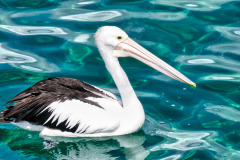 bild10