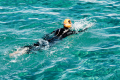 bild11