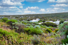 P1000279