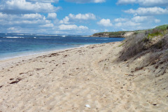 P1000284