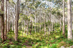 P1000288