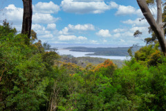 P1000297
