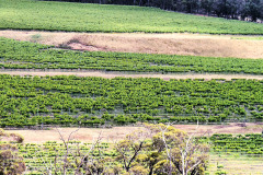 bild02