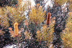 bild12