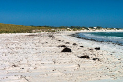 bild16