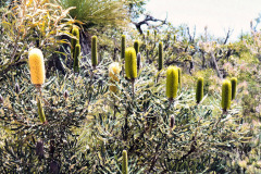 bild04