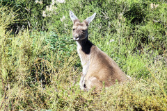 bild12