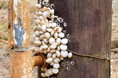 bild03