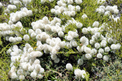 bild07