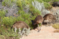 bild02