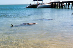 bild04