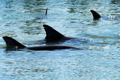 bild05