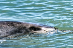 bild06