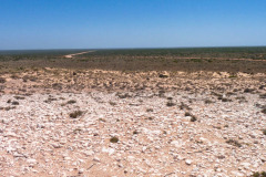 bild12
