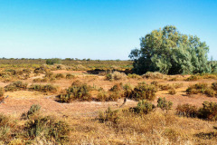 bild20