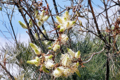 bild03