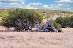 bild03