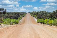 P1010225