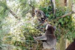 bild08
