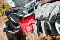 bild11