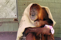 bild20