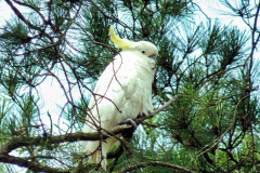 bild07