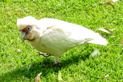 bild08