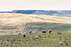 bild09