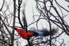 bild22