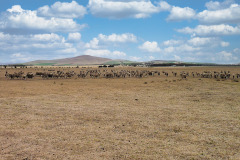bild01