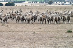 bild02