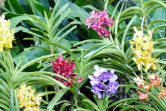 Singapore05-01-bild11