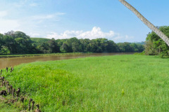 CR2010-03-03-pic02
