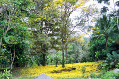 CR2010-03-03-pic04